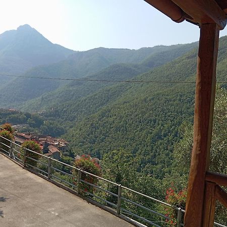 Agriturismo U' Spigu Nonna Annetta Nasino Buitenkant foto