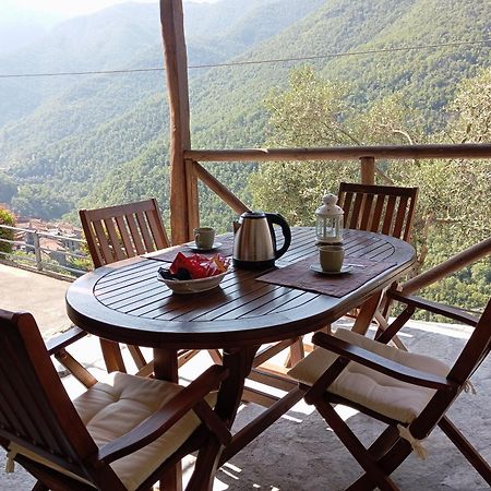 Agriturismo U' Spigu Nonna Annetta Nasino Buitenkant foto